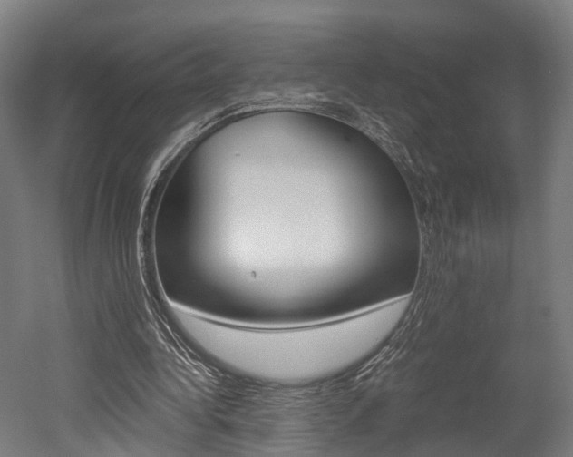 X0000052630340200507011039