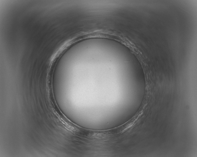 X0000052630341200507011039