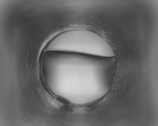 X0000052630342200507011039