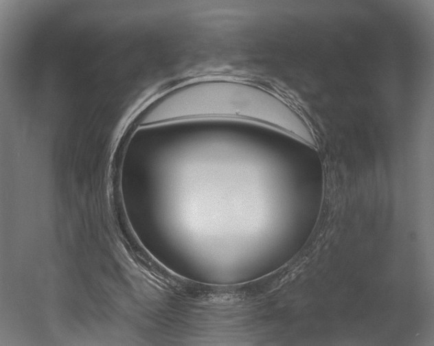 X0000052630344200507011039