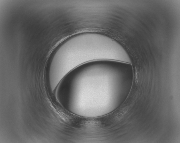 X0000052630348200507011039