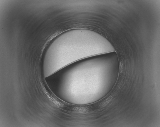 X0000052630349200507011039