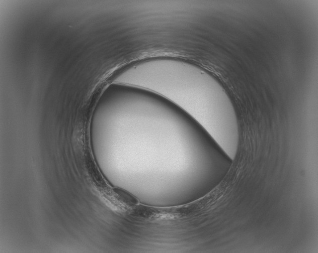 X0000052630352200507011039