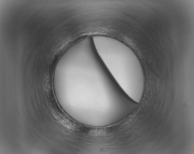X0000052630354200507011039