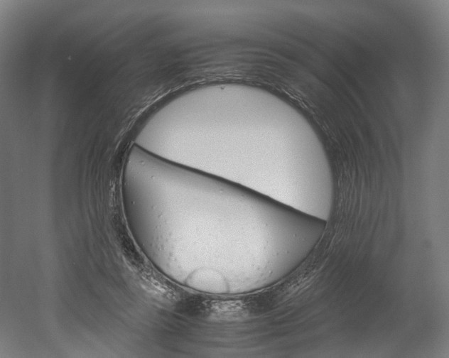 X0000052630355200507011039