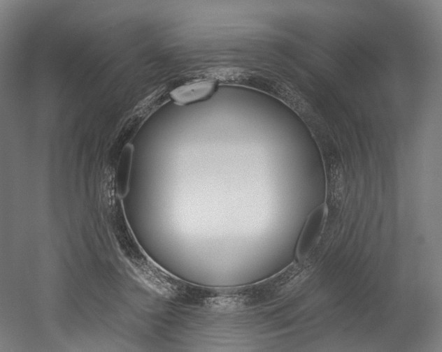 X0000052630356200507011039