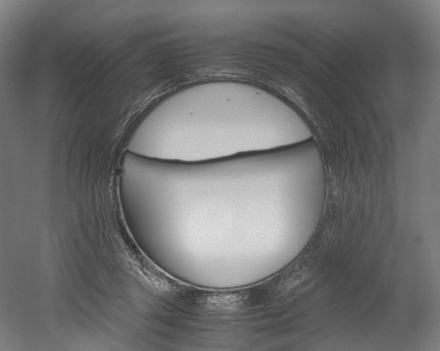X0000052630357200507011039