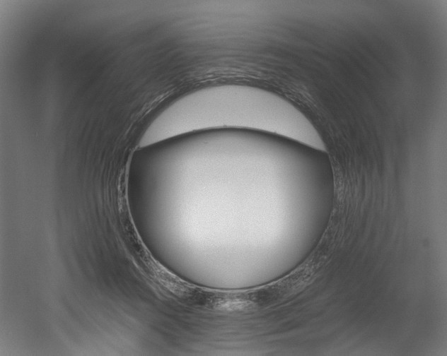 X0000052630360200507011039