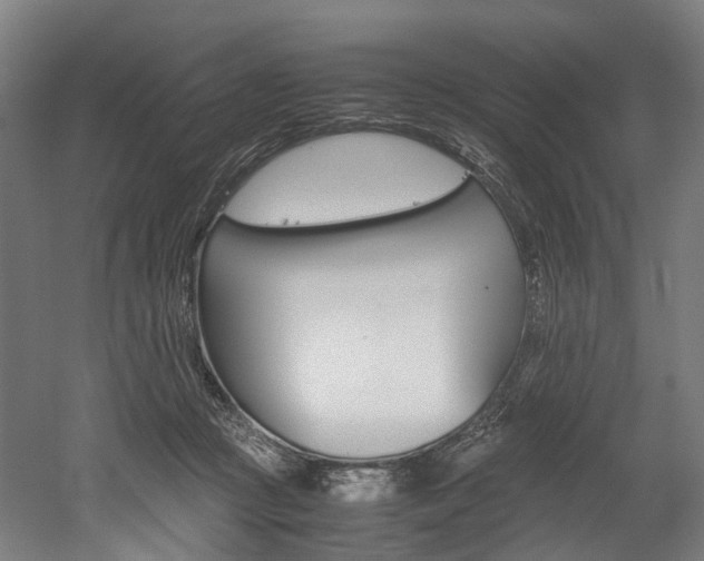 X0000052630361200507011040