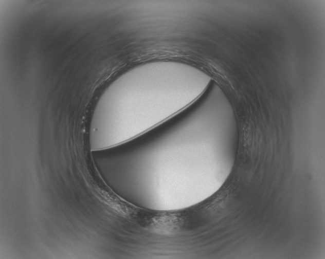X0000052630362200507011040