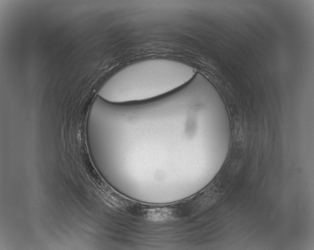 X0000052630363200507011040