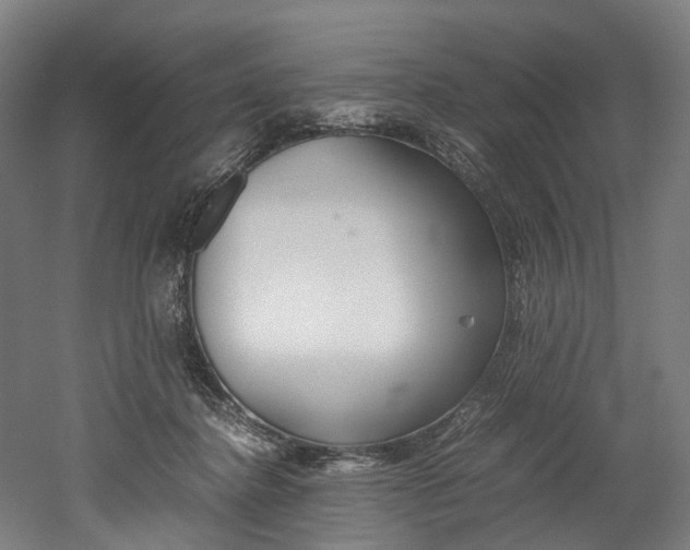 X0000052630364200507011040