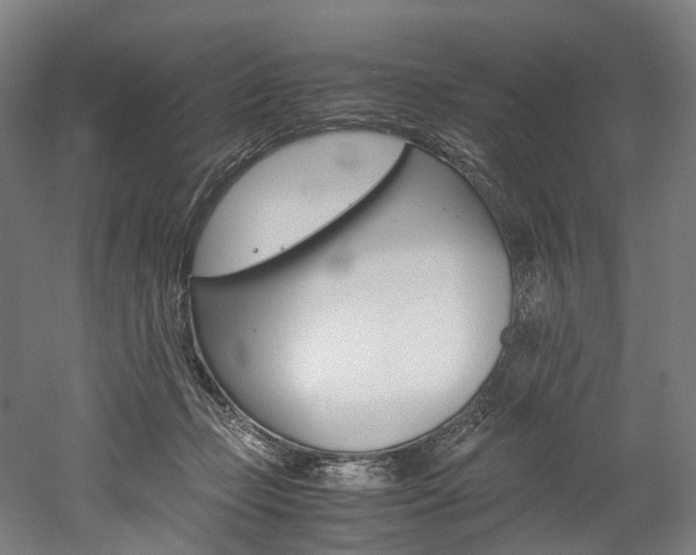 X0000052630365200507011040