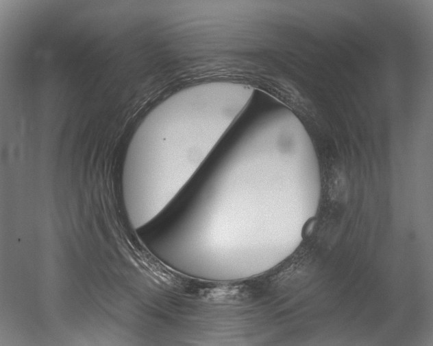 X0000052630366200507011040