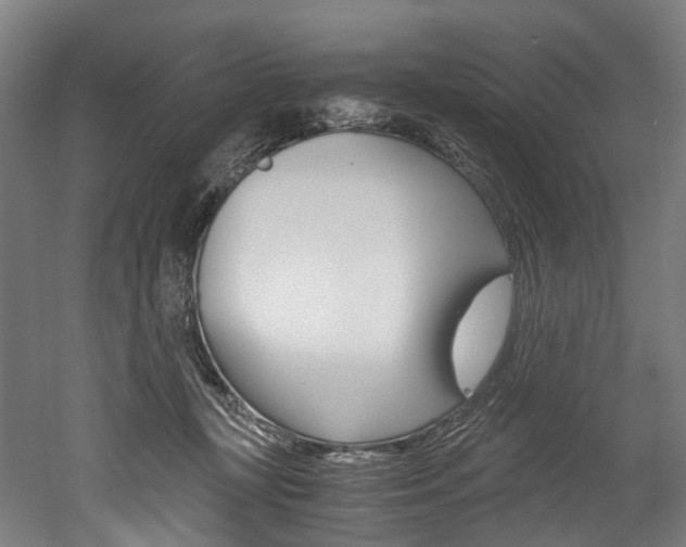 X0000052630367200507011040