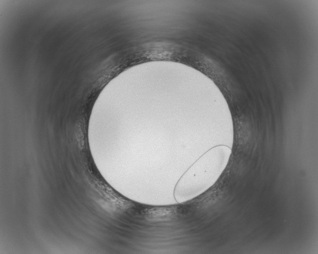 X0000052630370200507011040