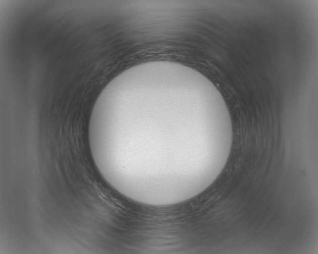 X0000052630372200507011040