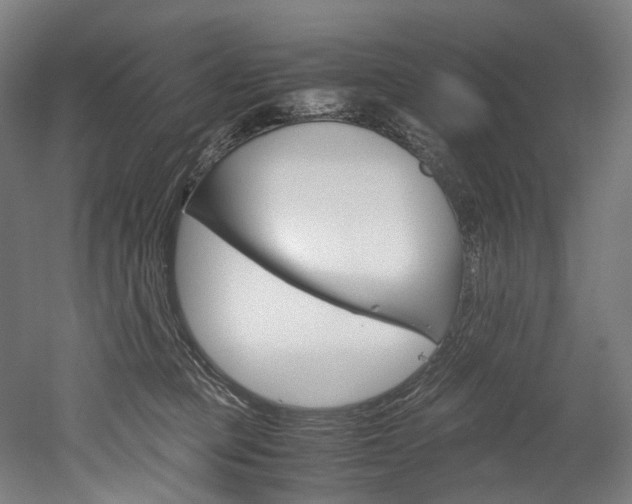X0000052630373200507011040