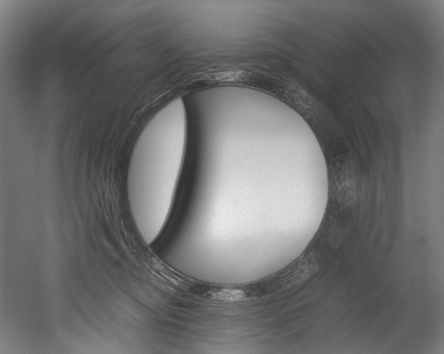 X0000052630374200507011040