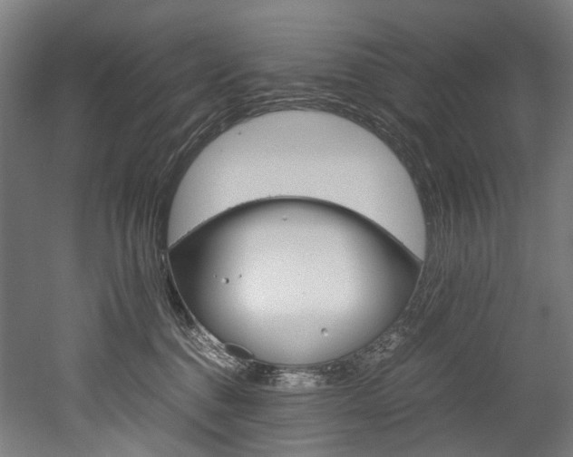 X0000052630376200507011040