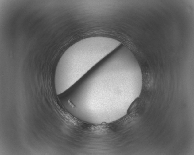 X0000052630378200507011040