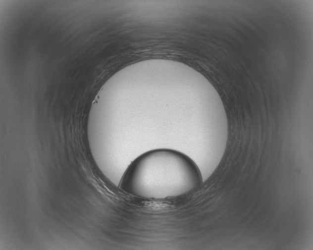 X0000052630380200507011040