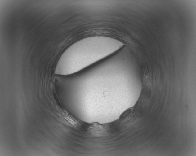 X0000052630381200507011040
