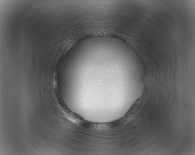 X0000052630383200507011040