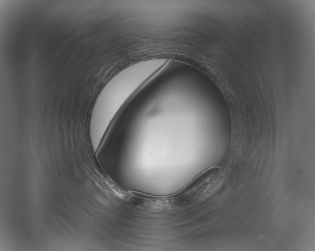 X0000052630384200507011040