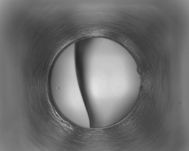 X0000052630386200507011039