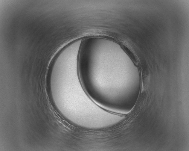 X0000052630387200507011039