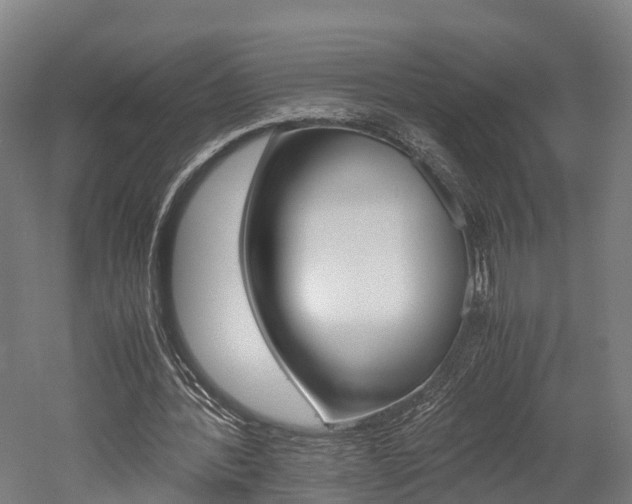 X0000052630388200507011039