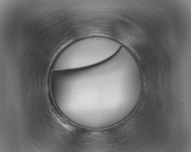 X0000052630390200507011039