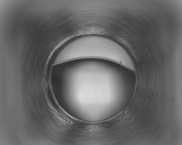X0000052630392200507011039