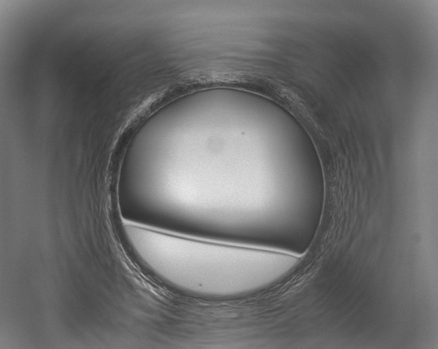 X0000052630395200507011039