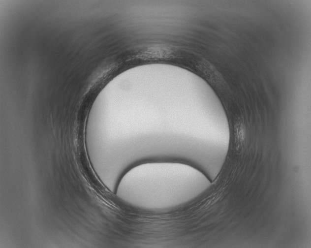 X0000052630396200507011039