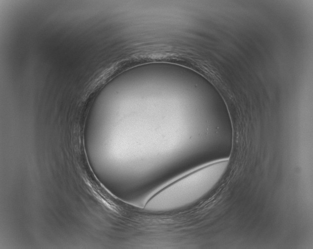 X0000052630397200507011039