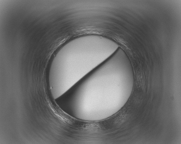 X0000052630398200507011039