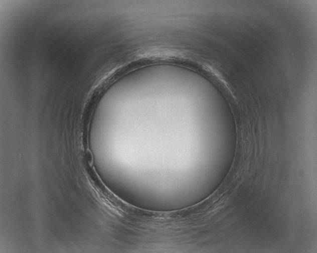 X0000052630399200507011039