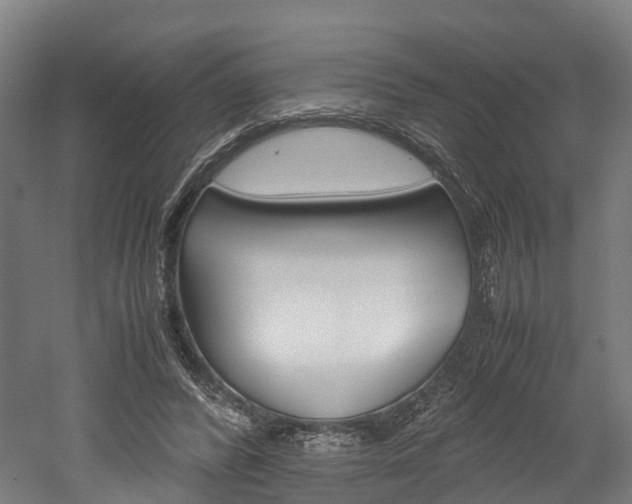 X0000052630400200507011039