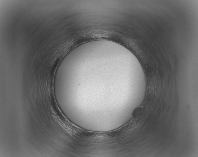 X0000052630402200507011039