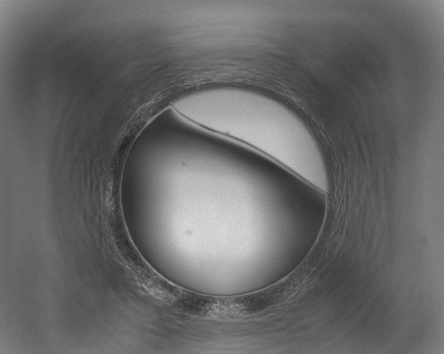 X0000052630403200507011039