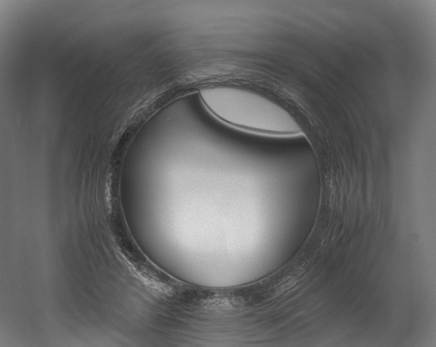 X0000052630404200507011039