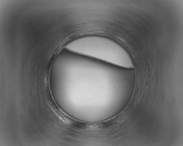 X0000052630405200507011039