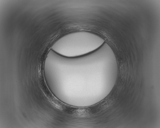 X0000052630406200507011039