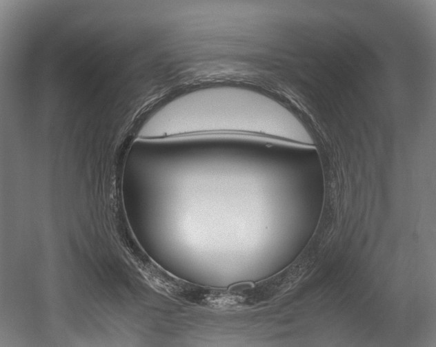 X0000052630407200507011039