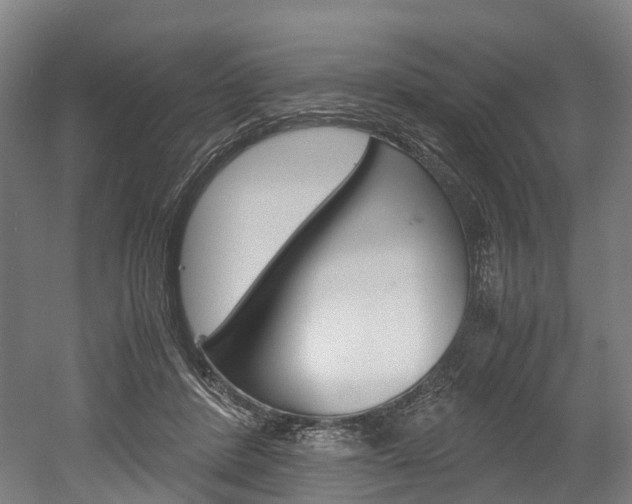 X0000052630408200507011039