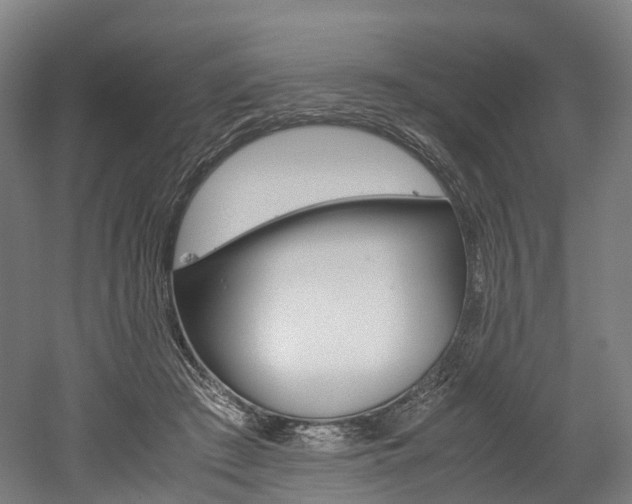 X0000052630409200507011039