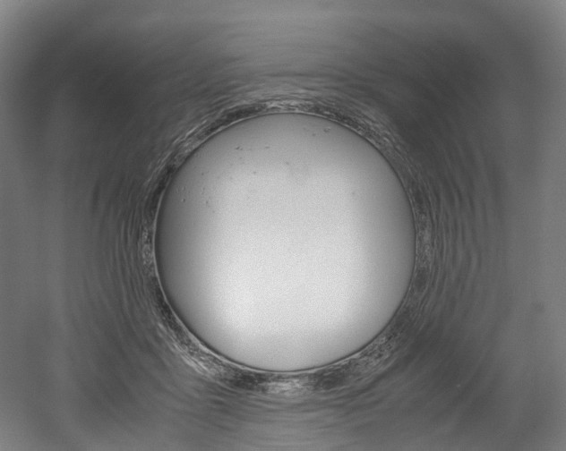 X0000052630411200507011039