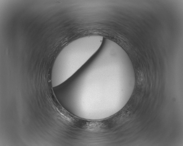 X0000052630414200507011039